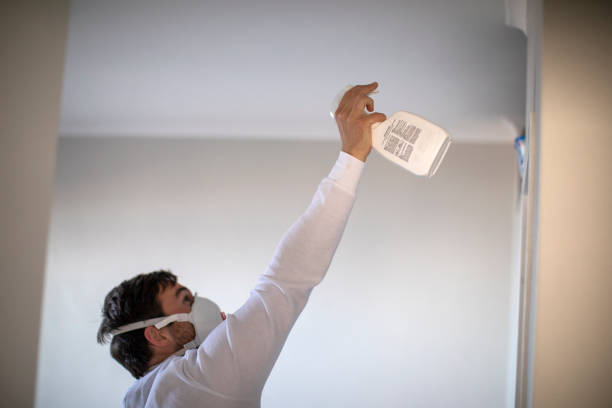 Best Crawl Space Mold Removal  in Pimmit Hills, VA