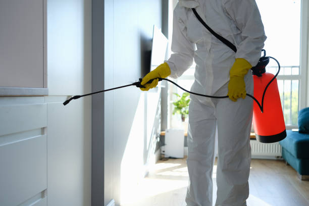 Best Residential Mold Removal  in Pimmit Hills, VA